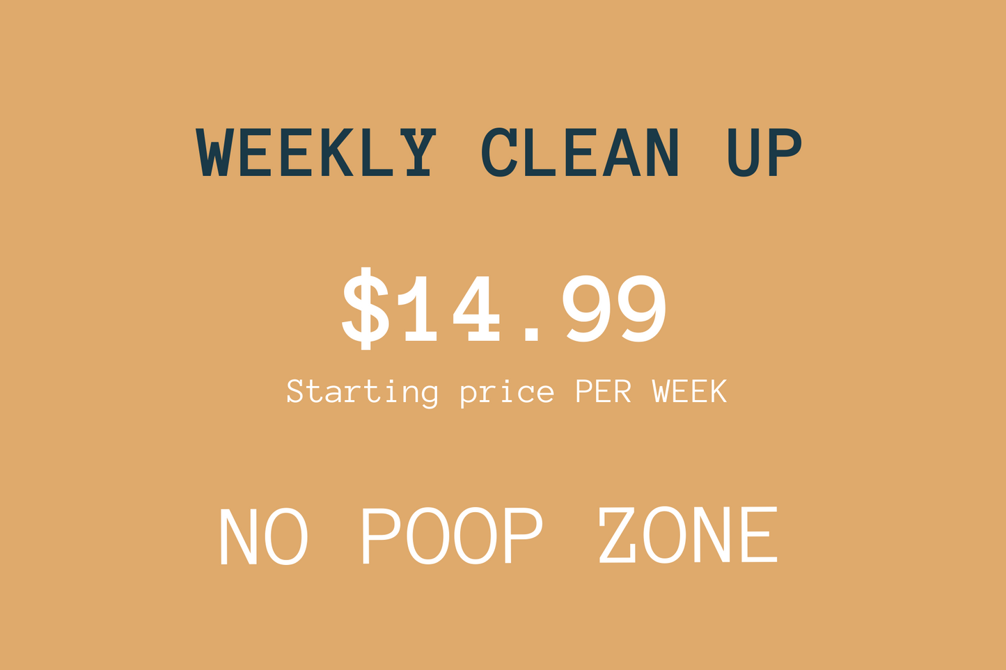 WEEKLY CLEAN UP